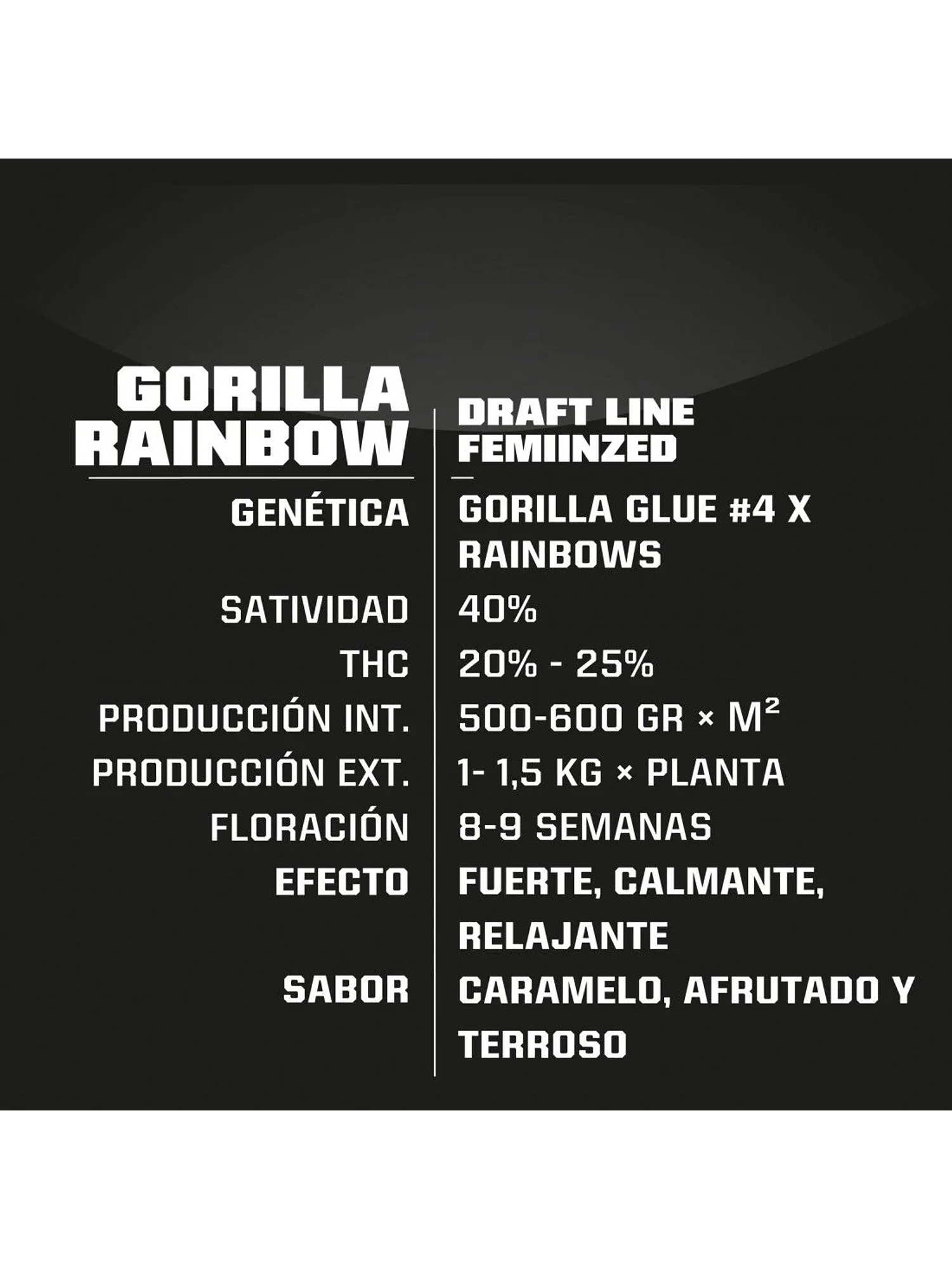 Gorilla Rainbows Fem -Bsf (X7/X4/X2) 3