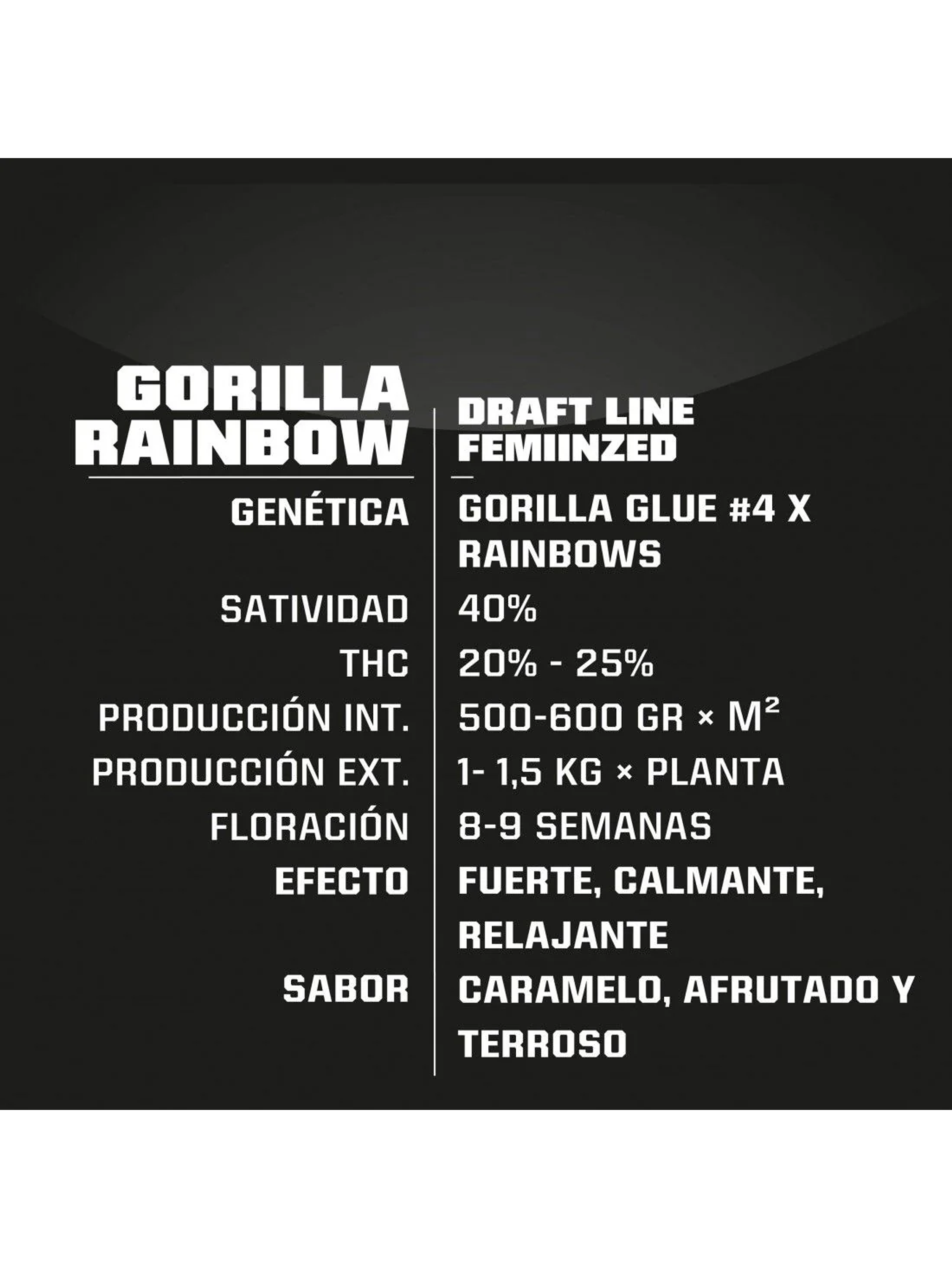Gorilla Rainbows Fem -Bsf (X7/X4/X2) 3