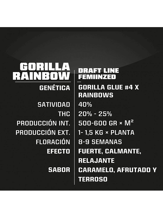 Gorilla Rainbows Fem X7-Bsf 3