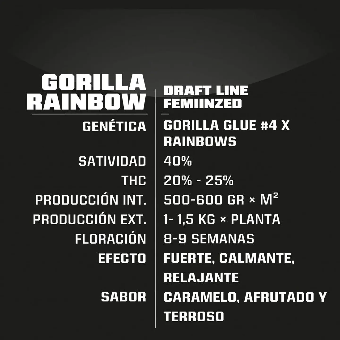 Gorilla Rainbows Fem -Bsf (X7/X4/X2) 3