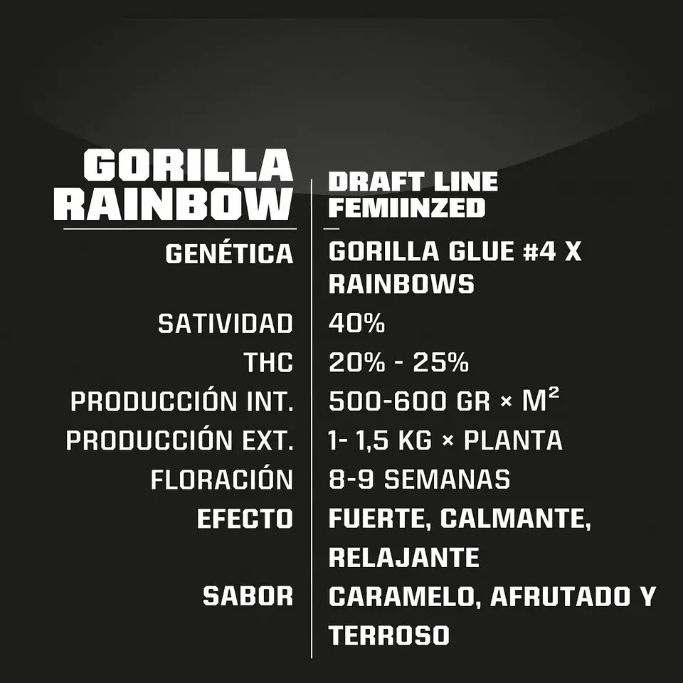 Gorilla Rainbows Fem -Bsf (X7/X4/X2) 3