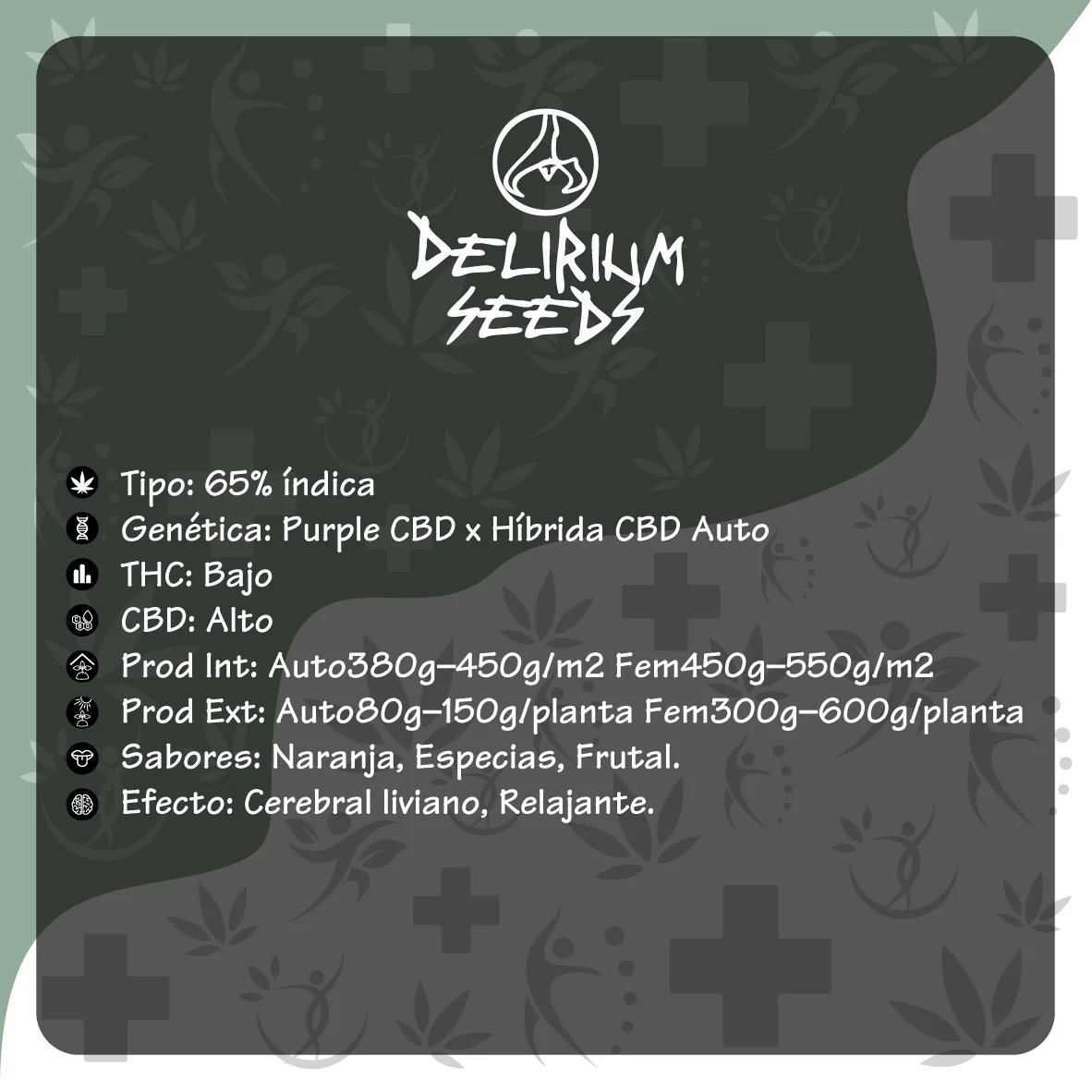 Medical Cbd Fem -Delirium Seeds (X4/X1) 4