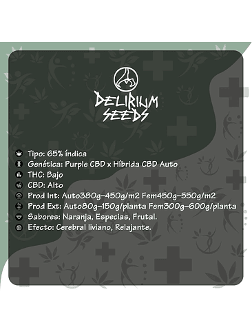 Medical Cbd Fem X4-Delirium Seeds 4
