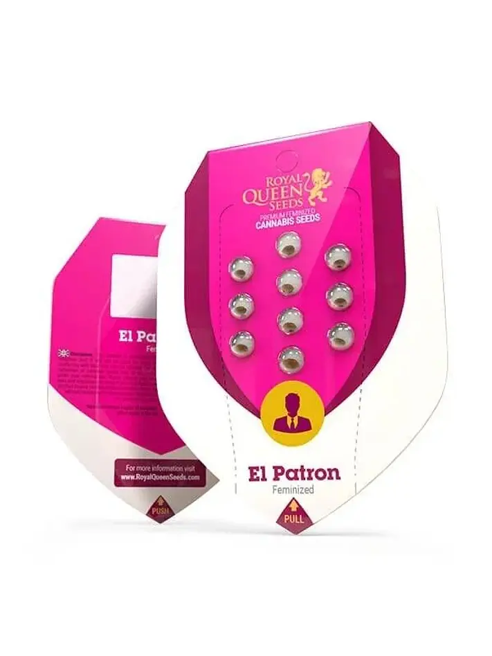 El Patron Fem -Royal Queen (X10/X3/X1) 4