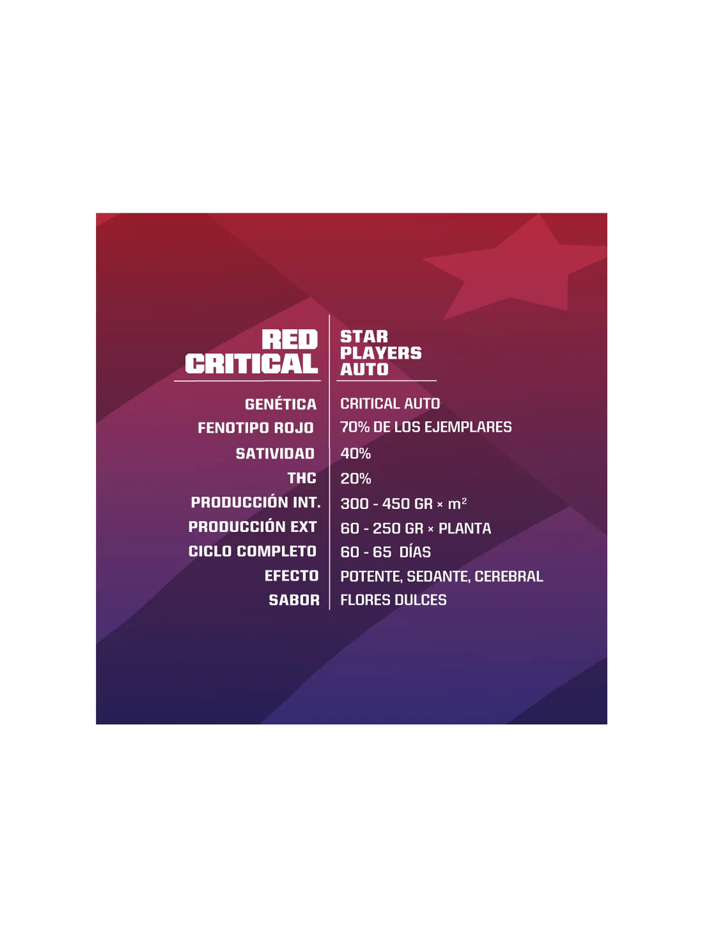 Red Critical Auto -Bsf (X12/X7/X4/X2) 4