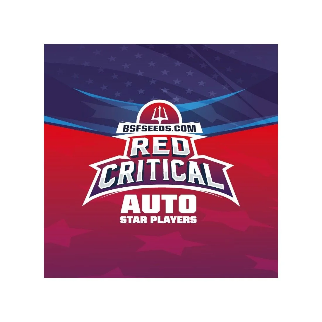 Red Critical Auto -Bsf (X12/X7/X4/X2) 6