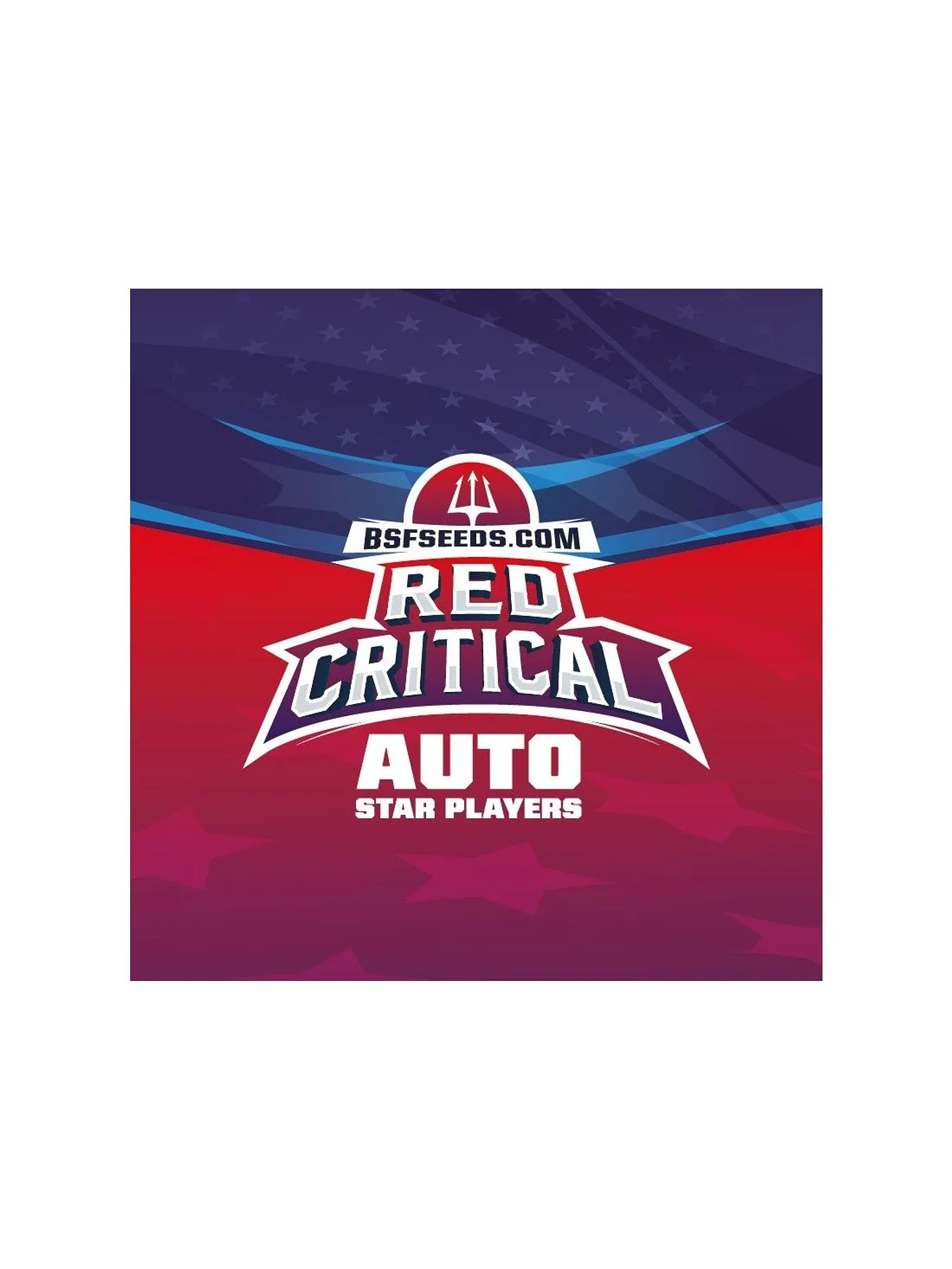 Red Critical Auto -Bsf (X12/X7/X4/X2) 6