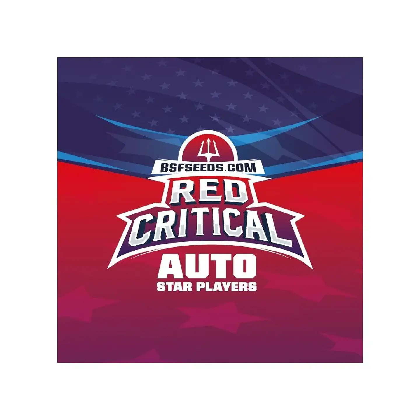 Red Critical Auto -Bsf (X12/X7/X4/X2) 6