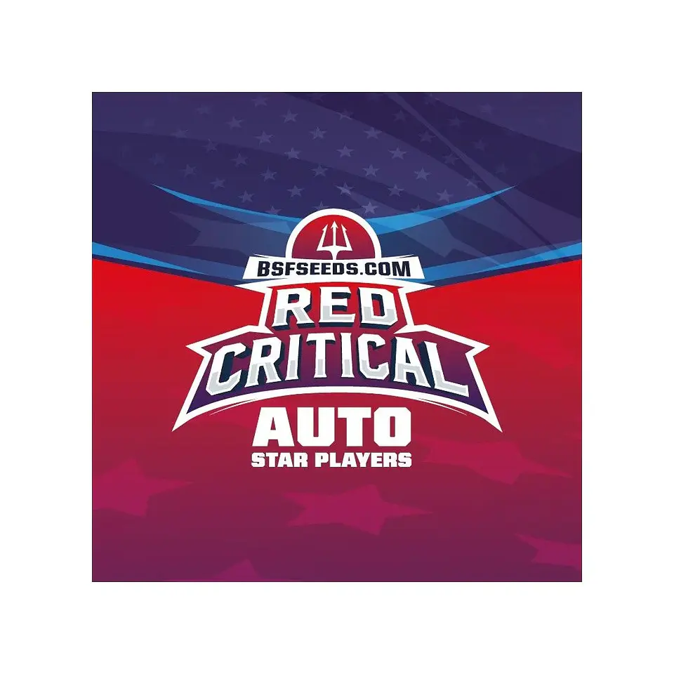 Red Critical Auto -Bsf (X12/X7/X4/X2) 6
