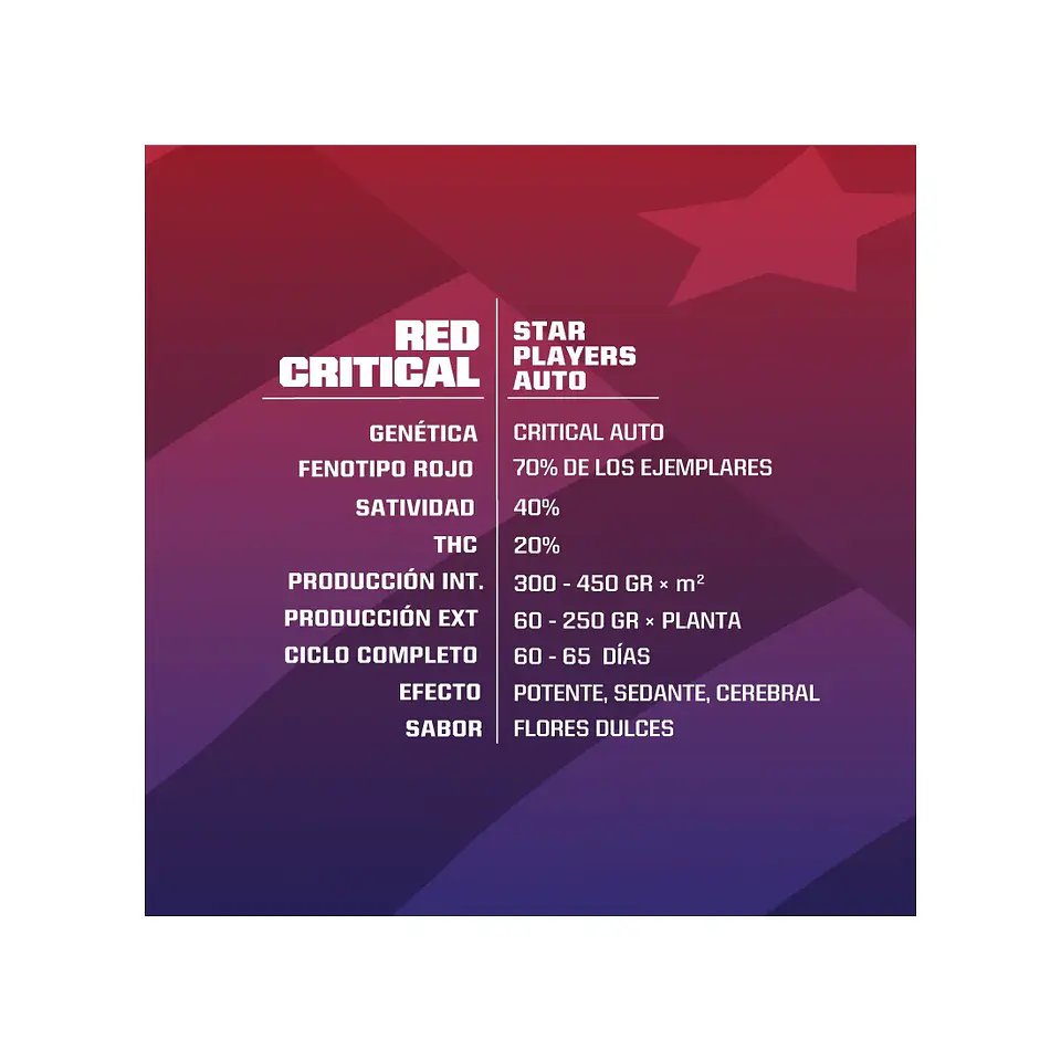 Red Critical Auto -Bsf (X12/X7/X4/X2) 5