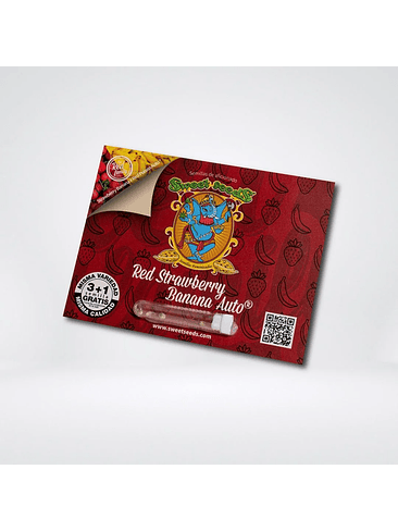 Red Strawberry Banana Auto® -Sweet Seeds (X5+2/X3+1) 3