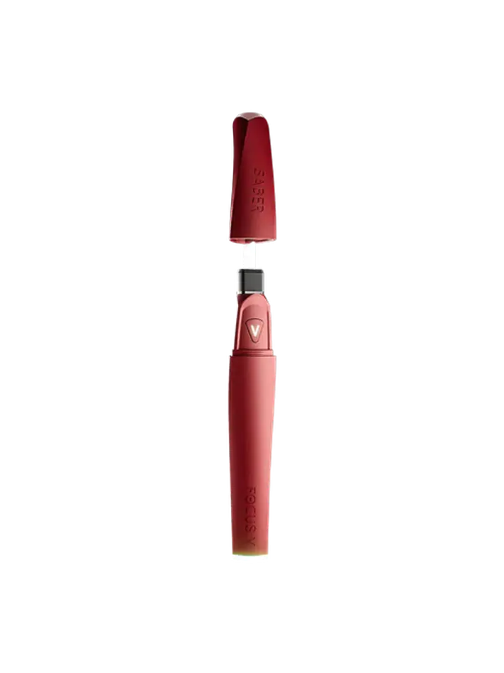 SABER DAB TOOL-FOCUS V 29