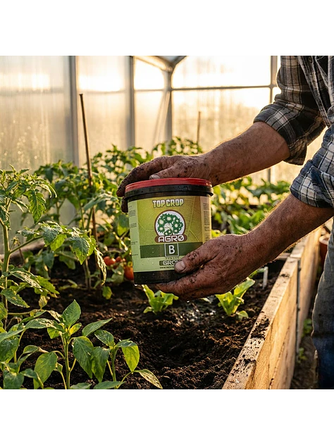 TOP  AGRO B GROW POWDER - TOP CROP 3