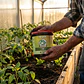 TOP  AGRO B GROW POWDER - TOP CROP - Miniatura 3
