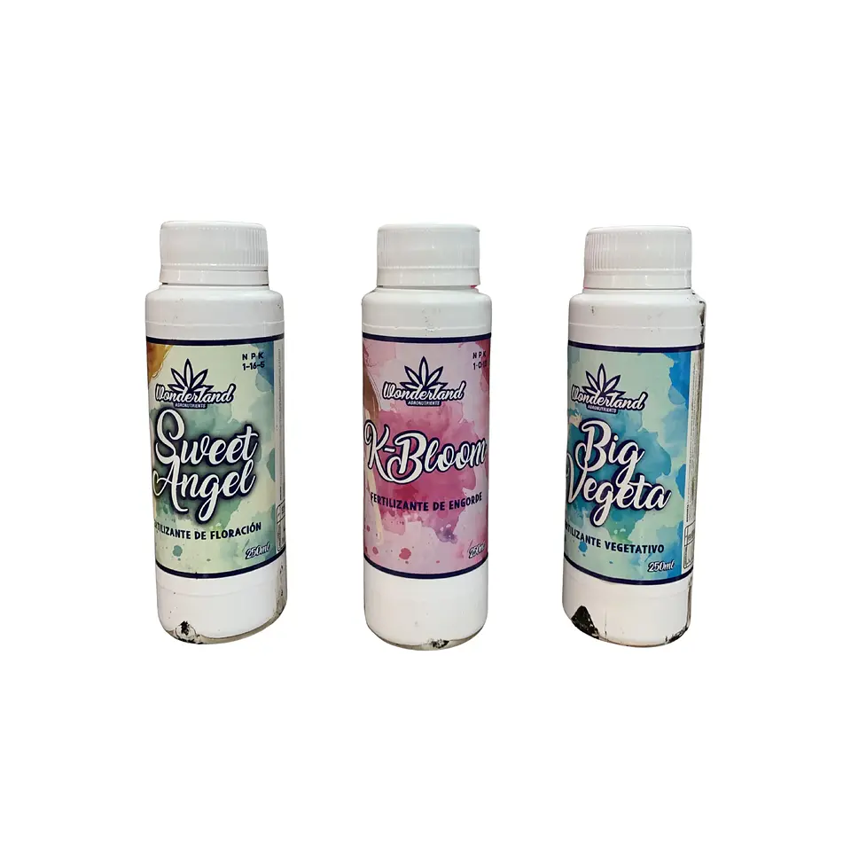 WONDERLAND TRIPACK - CAJA ROTA 1