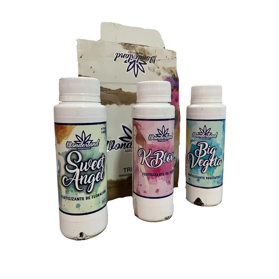 WONDERLAND TRIPACK - CAJA ROTA 2