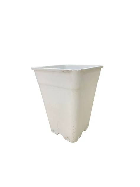 MACETA 18L BLANCO - CAJA ROTA 1