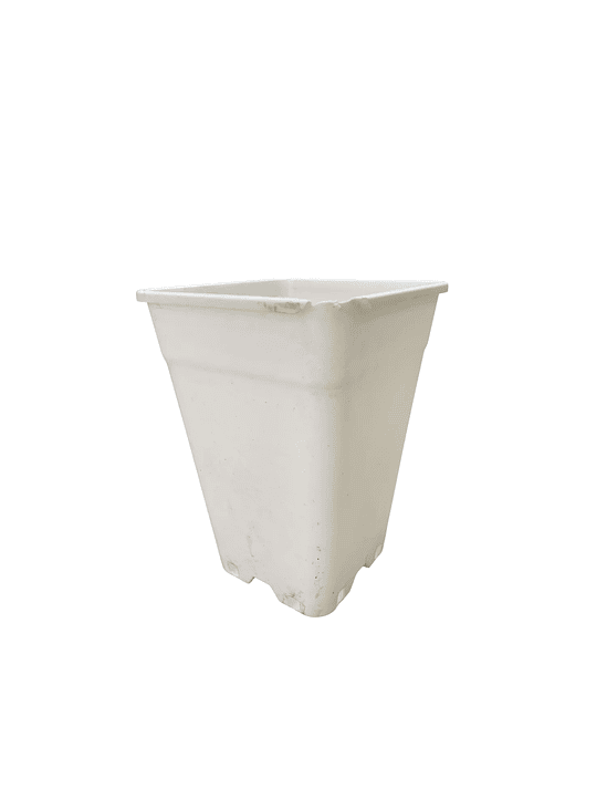 MACETA 18L BLANCO - CAJA ROTA 1