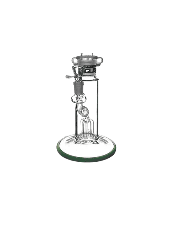 BASE THICC MINT - CAJA ROTA 1