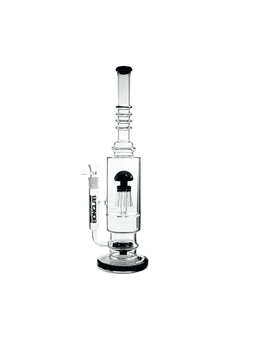 JELLY FISH BLACK - CAJA ROTA 1