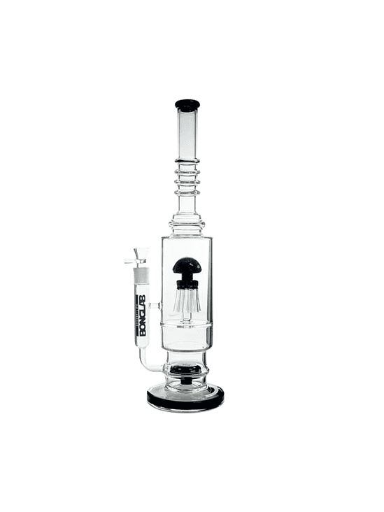 JELLY FISH BLACK - CAJA ROTA 1