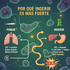 Por Qué Ingerir Marihuana Es Más Fuerte Que Fumarla