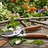 Tijeras de podar: Herramientas de calidad para un cuidado preciso de tus plantas