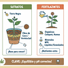 Enraizantes: potencia el crecimiento de tus plantas con los mejores productos enraizantes