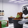 Los Beneficios del Coco Brick de Canna: La Mejor Opción para Cultivar Cannabis