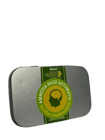 Amnesia Haze Auto -Royal Queen (X100/X10/X3) 3