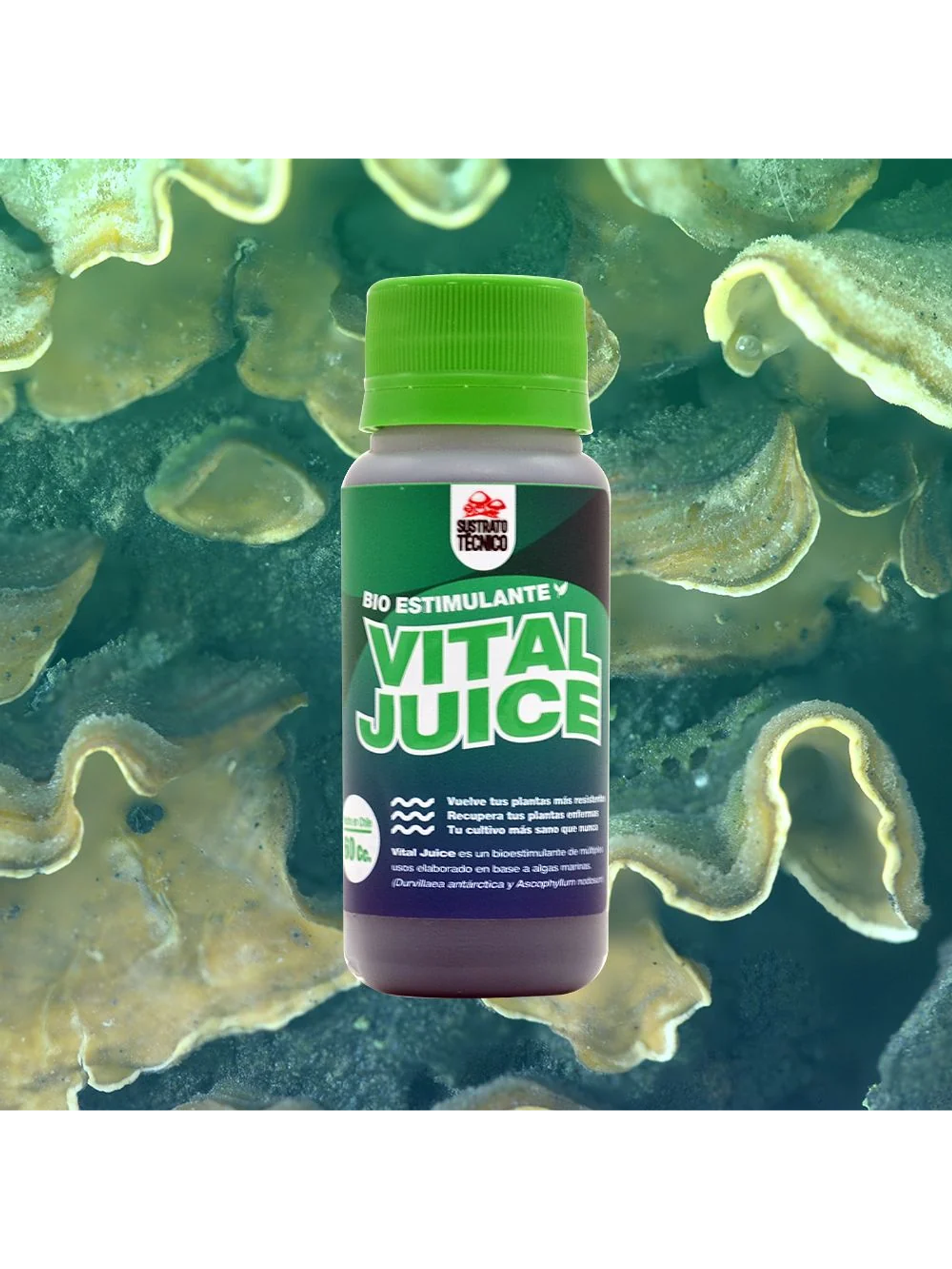 Vital Juice Bio Estimulante (1lt/250ml/60ml)-Sustrato Tecnico 6