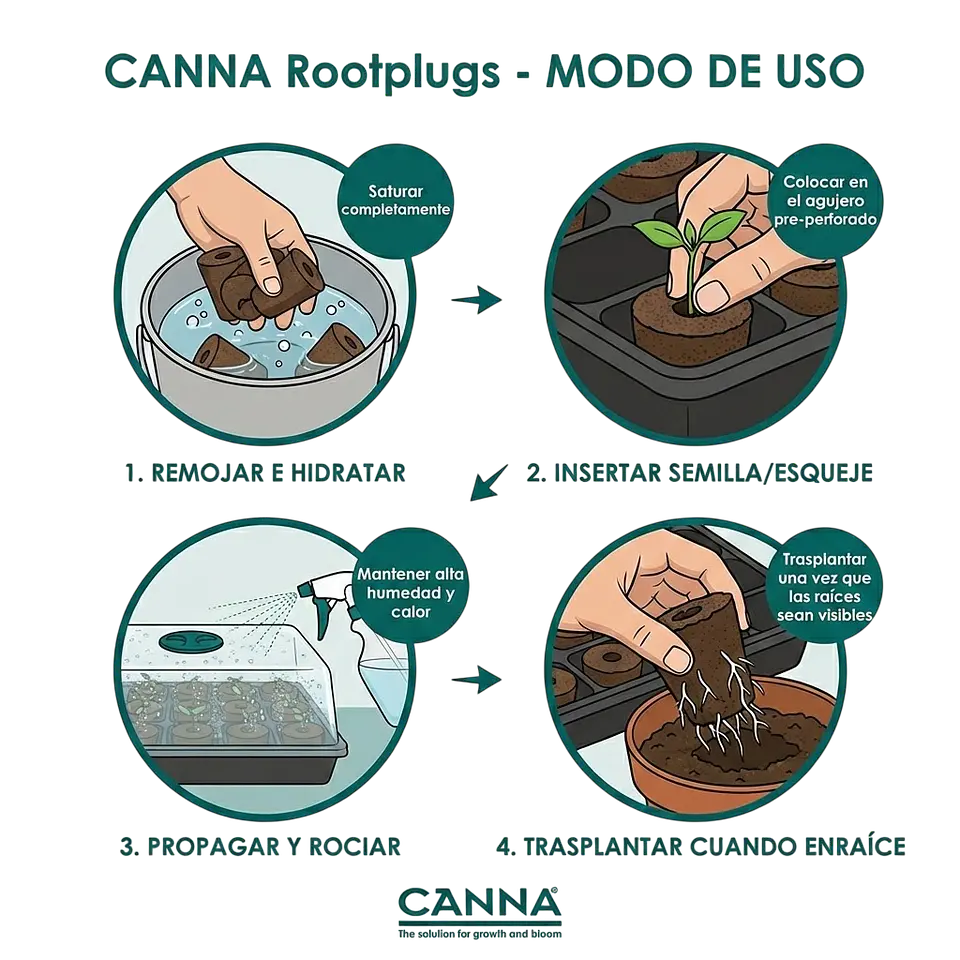 Root Plug Coco/Turba 77U (Bandeja / Box 10 Bandejas) -Canna 7
