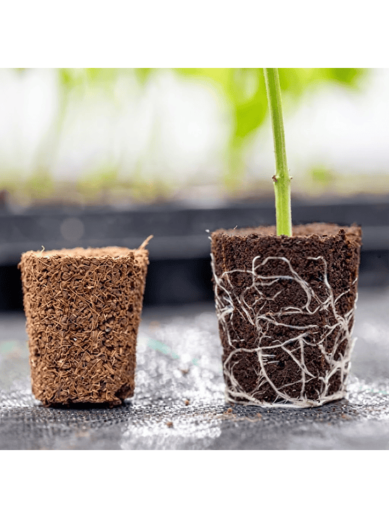 ROOT PLUG COCO/TURBA 77U - CANNA 4