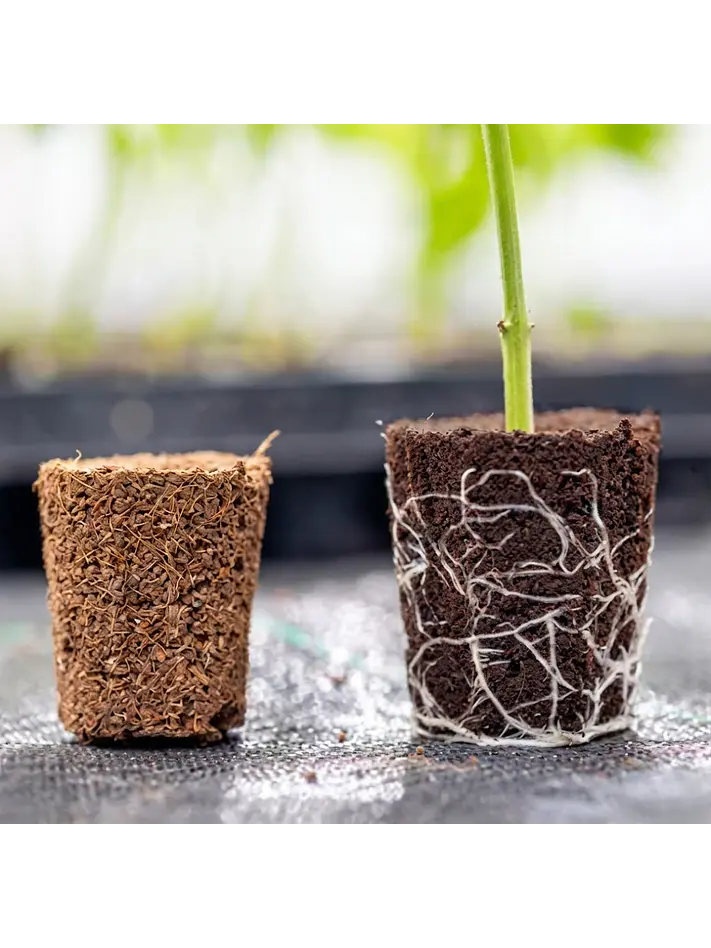 ROOT PLUG COCO/TURBA 77U - CANNA 4