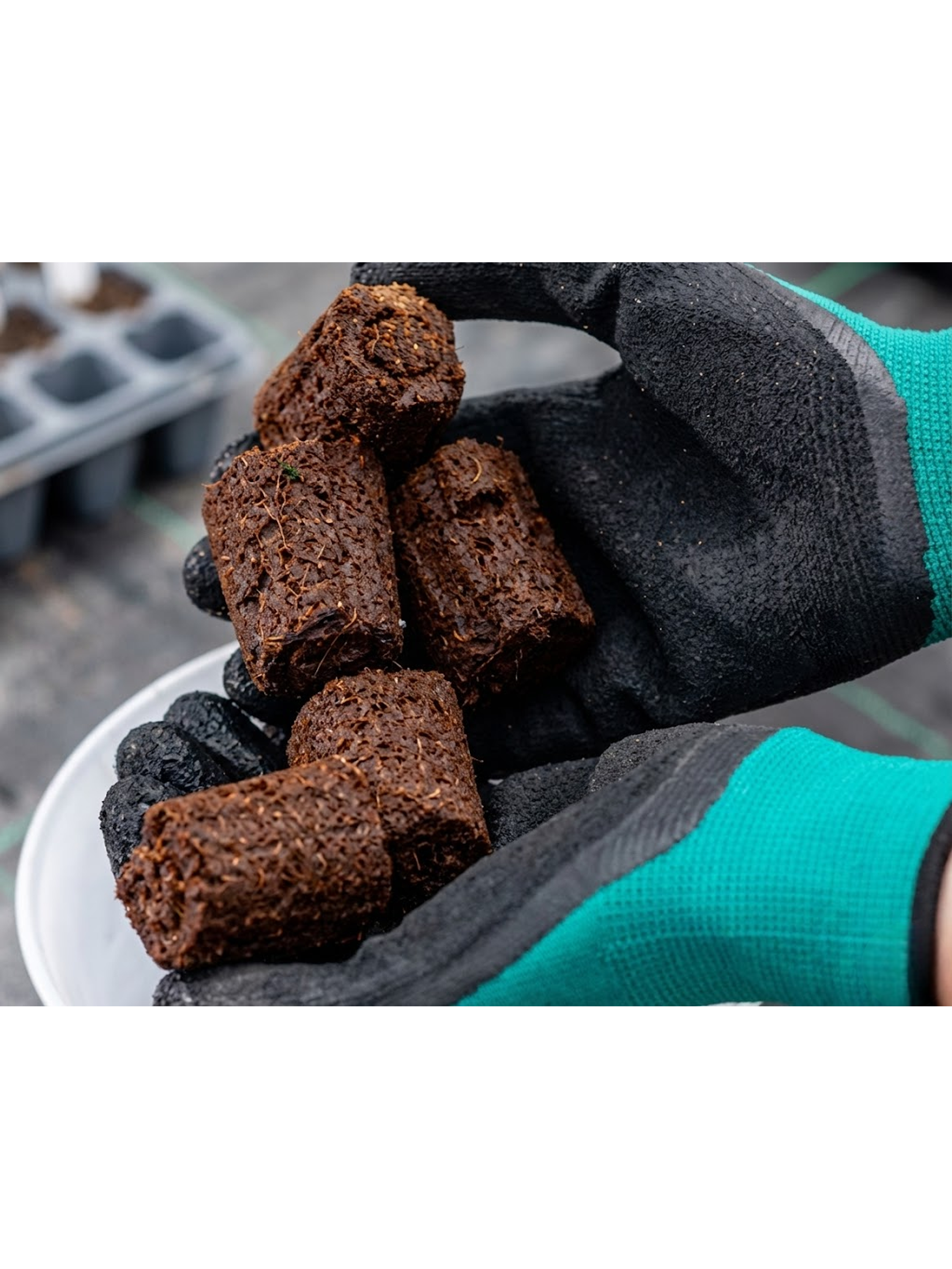 ROOT PLUG COCO/TURBA 77U - CANNA 5