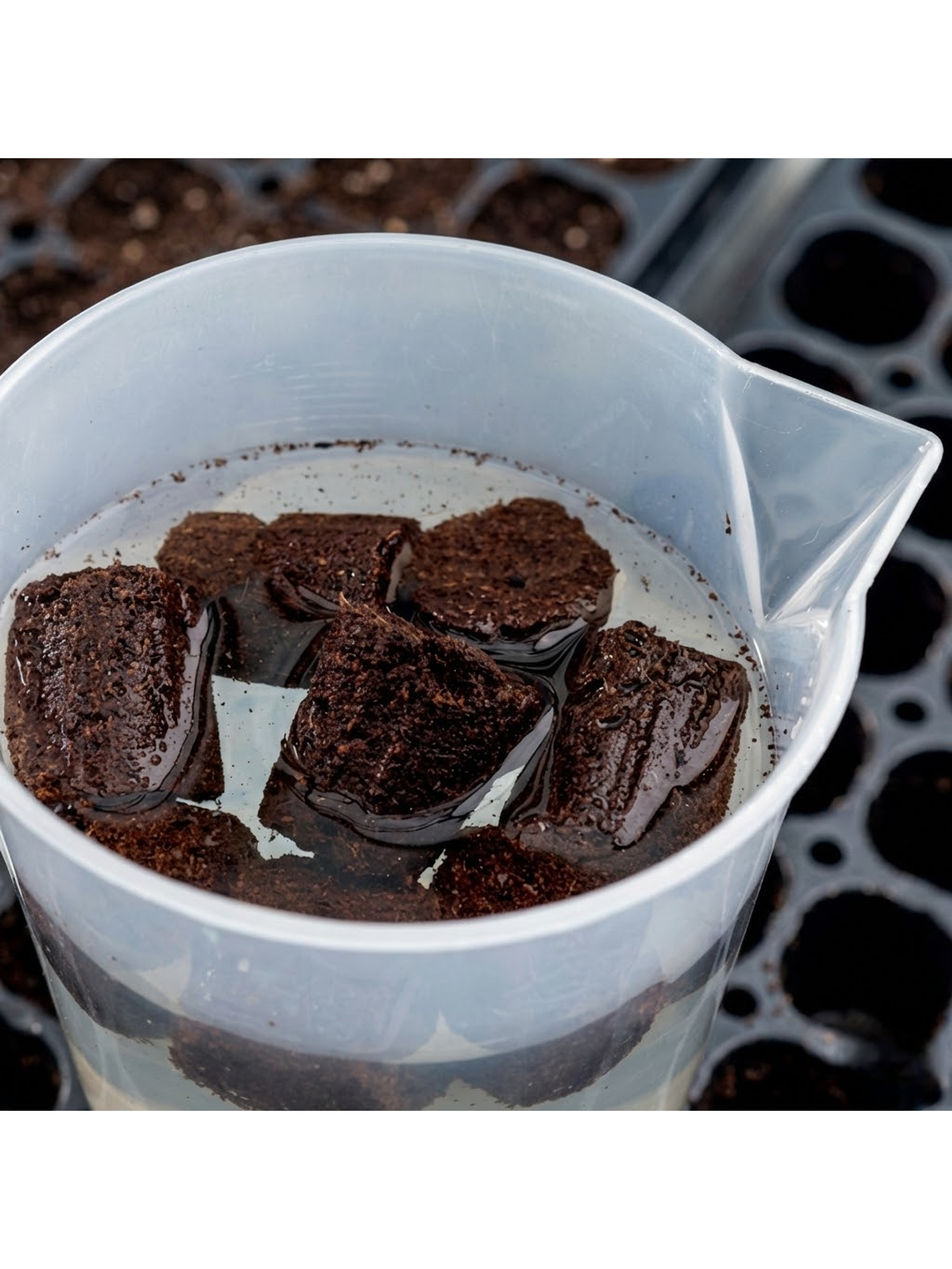 ROOT PLUG COCO/TURBA 77U - CANNA 6