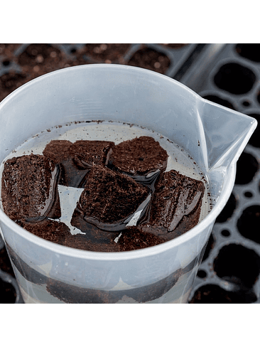 ROOT PLUG COCO/TURBA 77U - CANNA 6