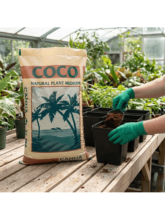 Sustrato Canna Coco Professional Plus 50Lt-Canna 2