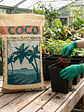 Sustrato Canna Coco Professional Plus 50Lt-Canna - Miniatura 2