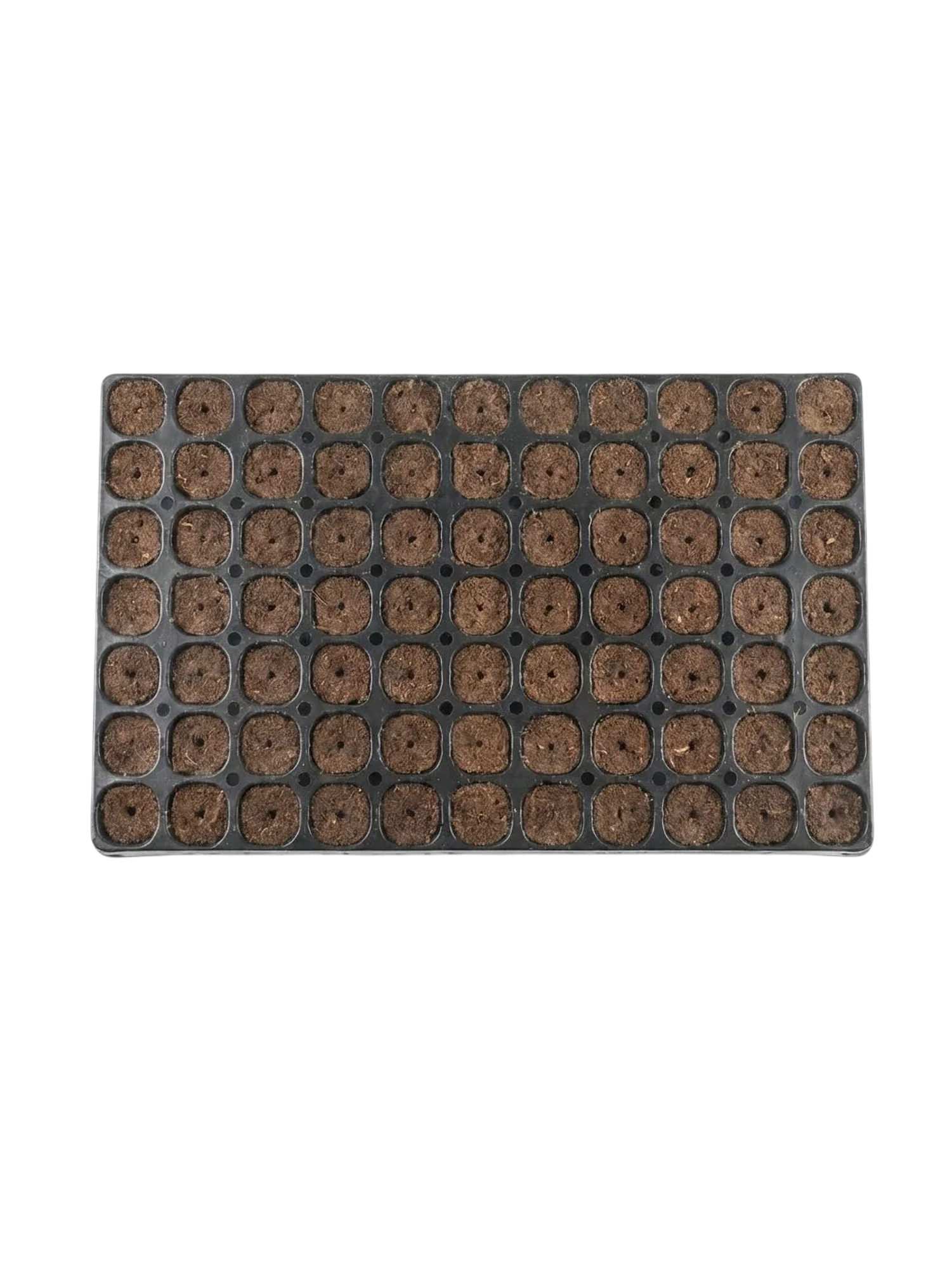 ROOT PLUG COCO/TURBA 77U - CANNA 1