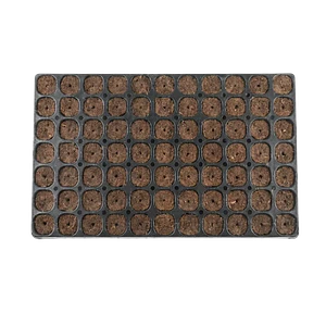 ROOT PLUG COCO/TURBA 77U - CANNA