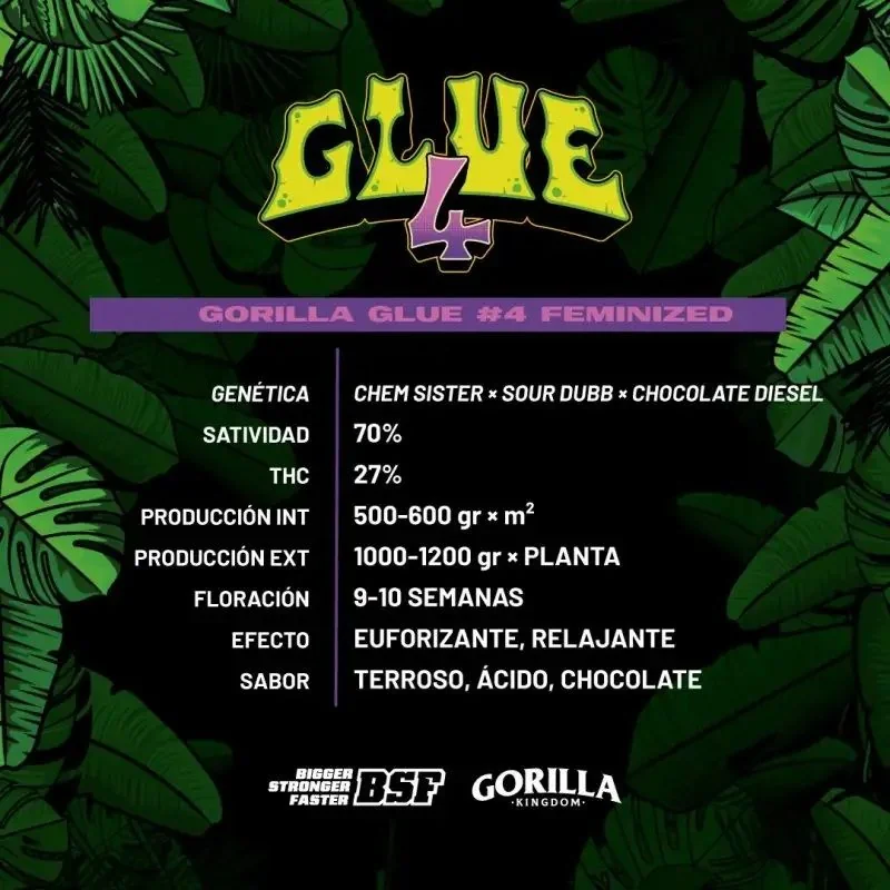 Gorilla Glue N°4 Fem -Bsf (X100/X12/X7/X4/X2) 6