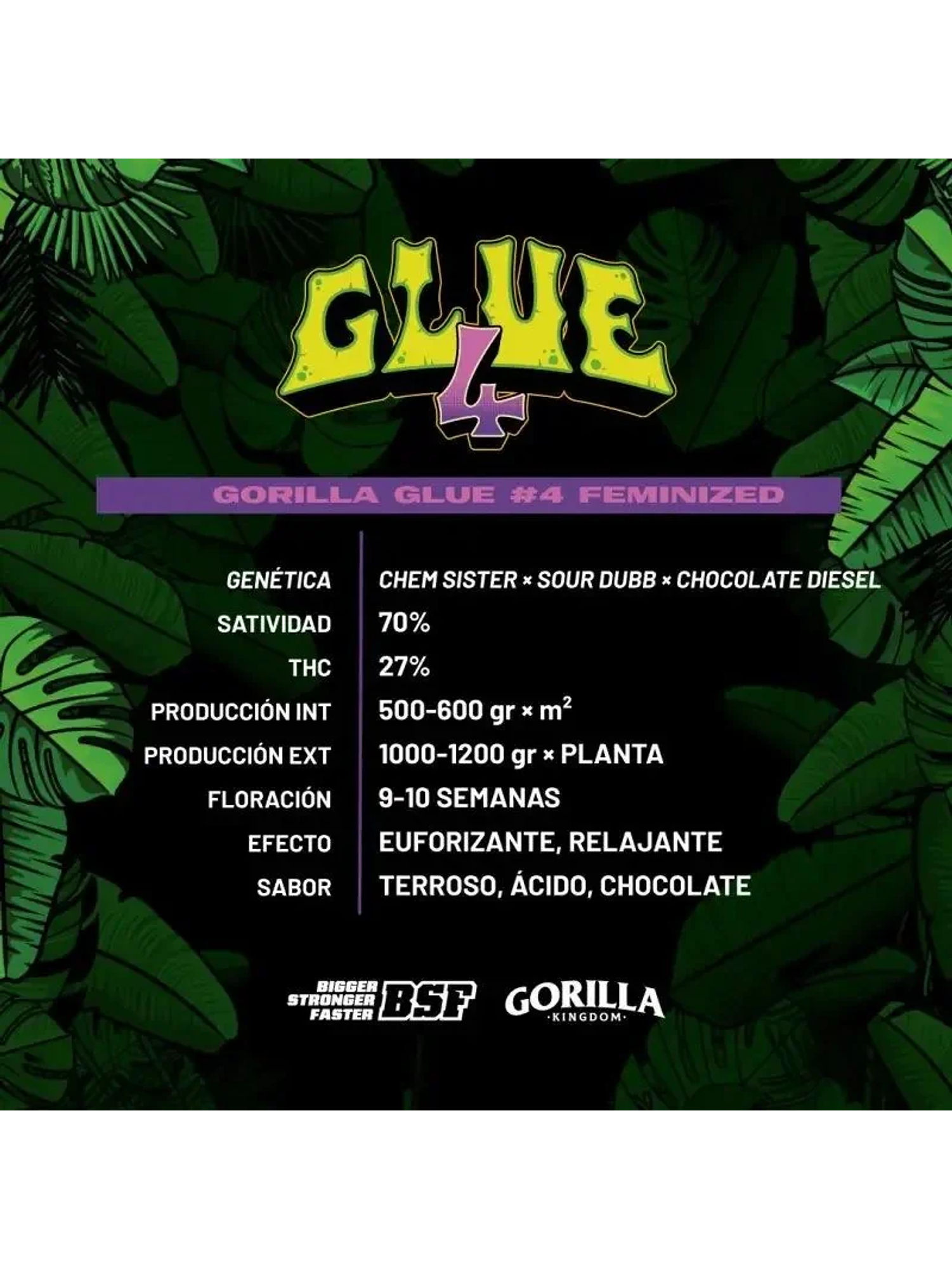 Gorilla Glue N°4 Fem -Bsf (X100/X12/X7/X4/X2) 6