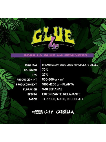 Gorilla Glue N°4 Fem -Bsf (X100/X12/X7/X4/X2) 6