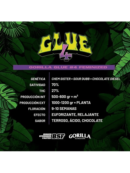 Gorilla Glue N°4 Fem -Bsf (X100/X12/X7/X4/X2) 6