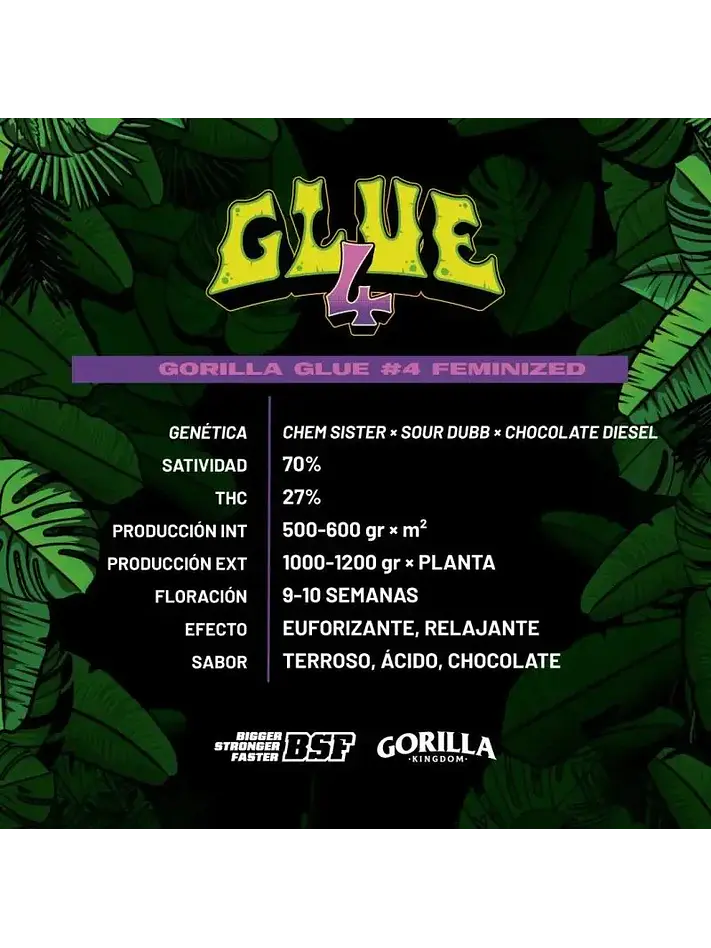 Gorilla Glue N°4 Fem -Bsf (X100/X12/X7/X4/X2) 6