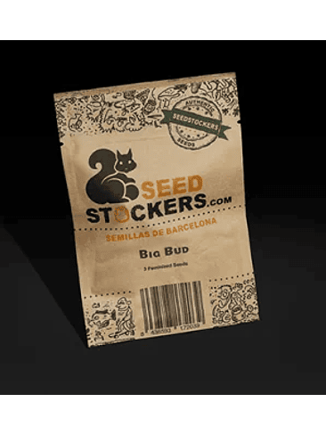 Big Bud Fem -Seedstockers (X100/X3) 2