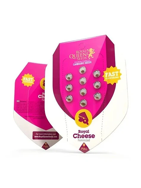 Royal Cheese Fast Fem -Royal Queen Seeds (X10/X3/X1) 3