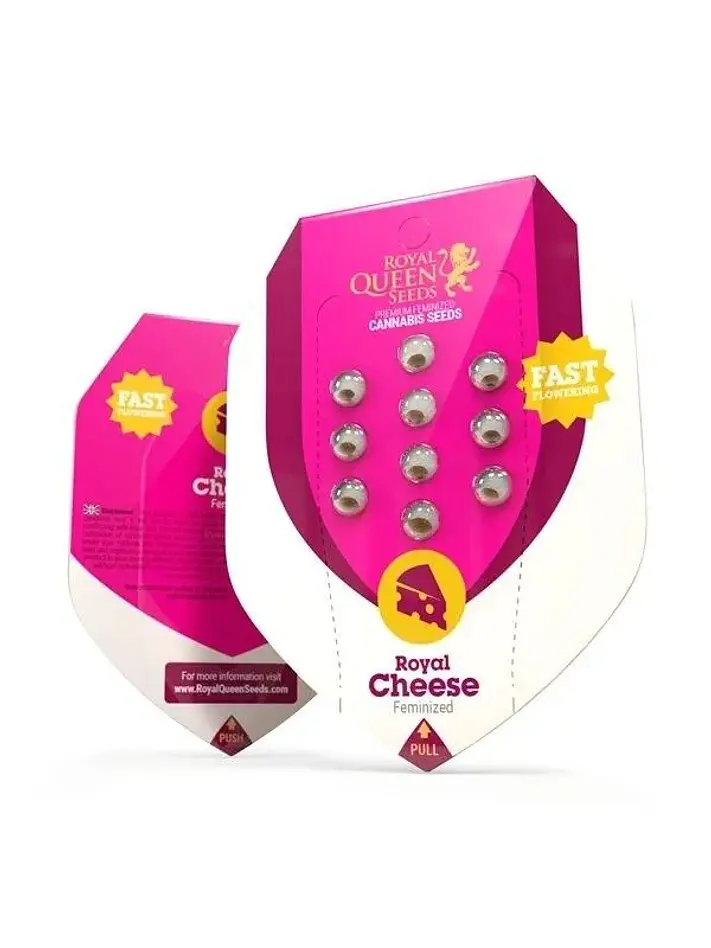 Royal Cheese Fast Fem -Royal Queen Seeds (X10/X3/X1) 3