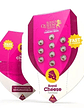 Royal Cheese Fast Fem -Royal Queen Seeds (X10/X3/X1) - Miniatura 3